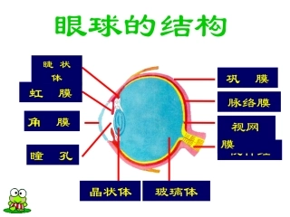 七下3-4-4(2)人日对周围世界的感知耳与听觉