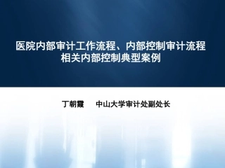丁朝霞-医院内部审计工作流程、内部控制审计流程相关内部控制典型案例