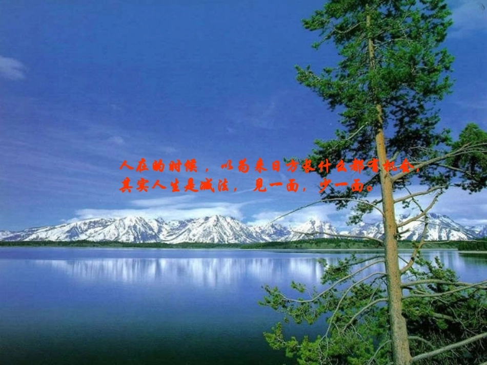一针见血的话_第1页