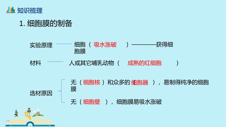 一轮复习细胞膜与细胞核_第3页