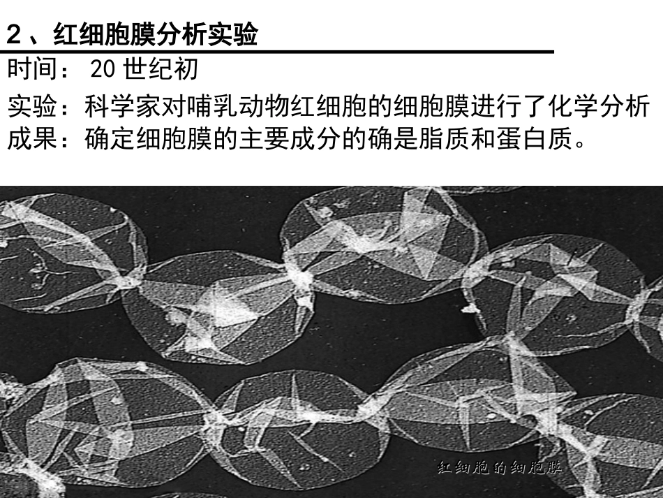 一轮复习：细胞膜流动镶嵌模型_第2页