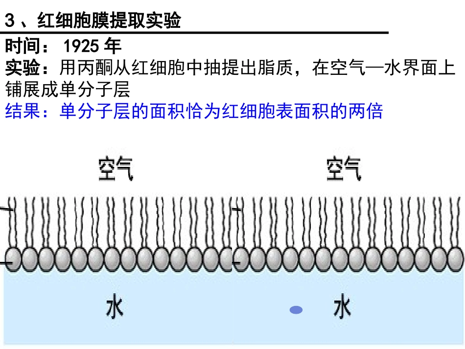 一轮复习：细胞膜流动镶嵌模型_第3页