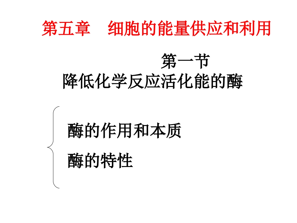 一轮复习第五章细胞的能量供应和利用_第1页