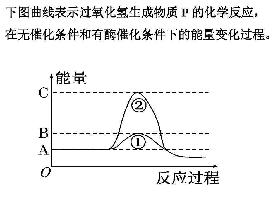 一轮复习第五章细胞的能量供应和利用_第2页