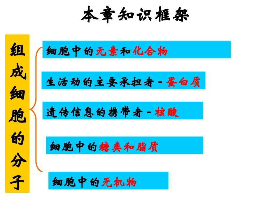 一轮复习第二章细胞的分子组成ppt_第2页