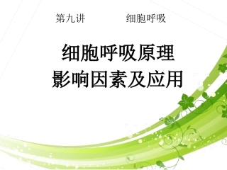 一轮复习细胞呼吸-优质课