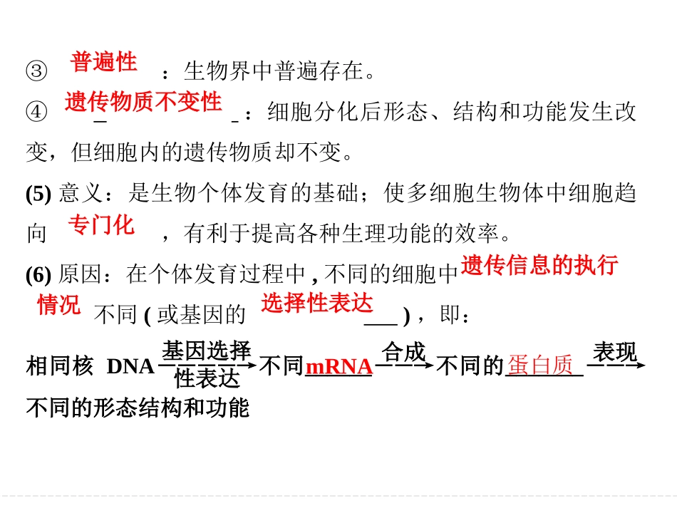 一轮复习细胞的分化、衰老、凋亡和癌变_第3页