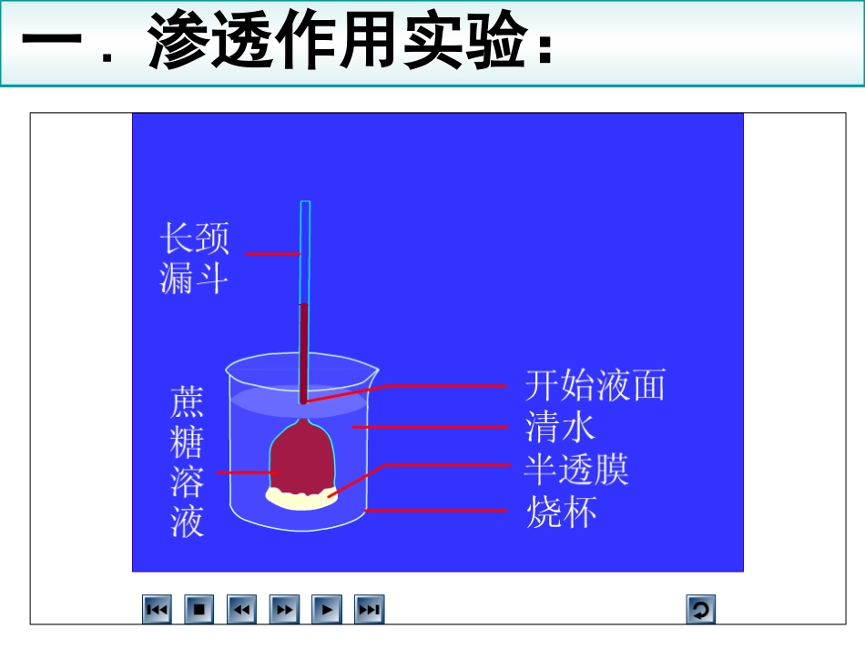 一轮复习--1.9细胞的物质输入和输出_第2页