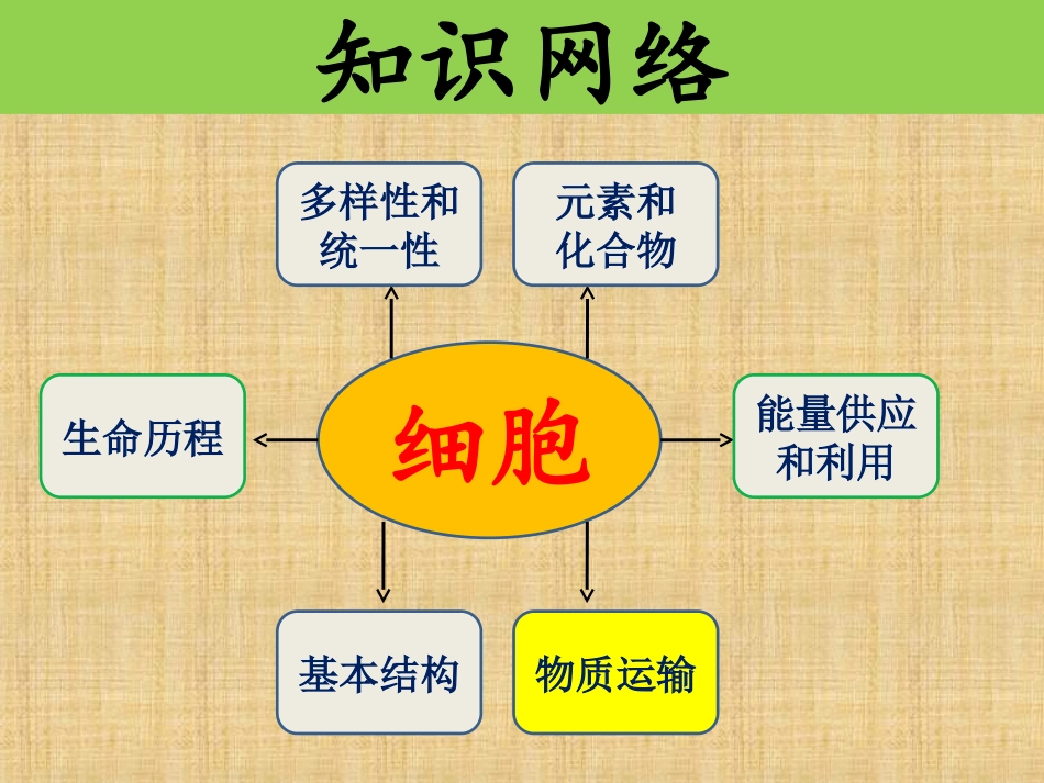一轮复习4--细胞的物质输入和输出_第2页