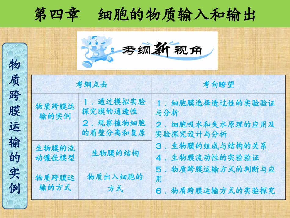 一轮复习4--细胞的物质输入和输出_第3页