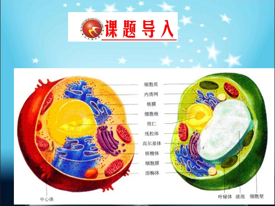 一轮复习—细胞器讲义_第1页