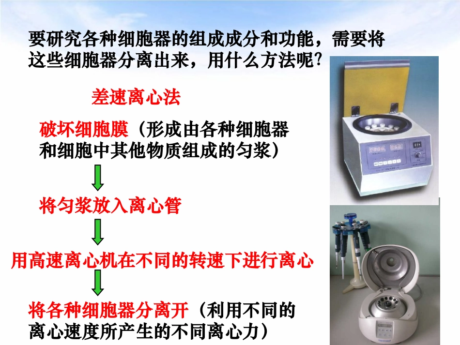 一轮复习—细胞器讲义_第3页