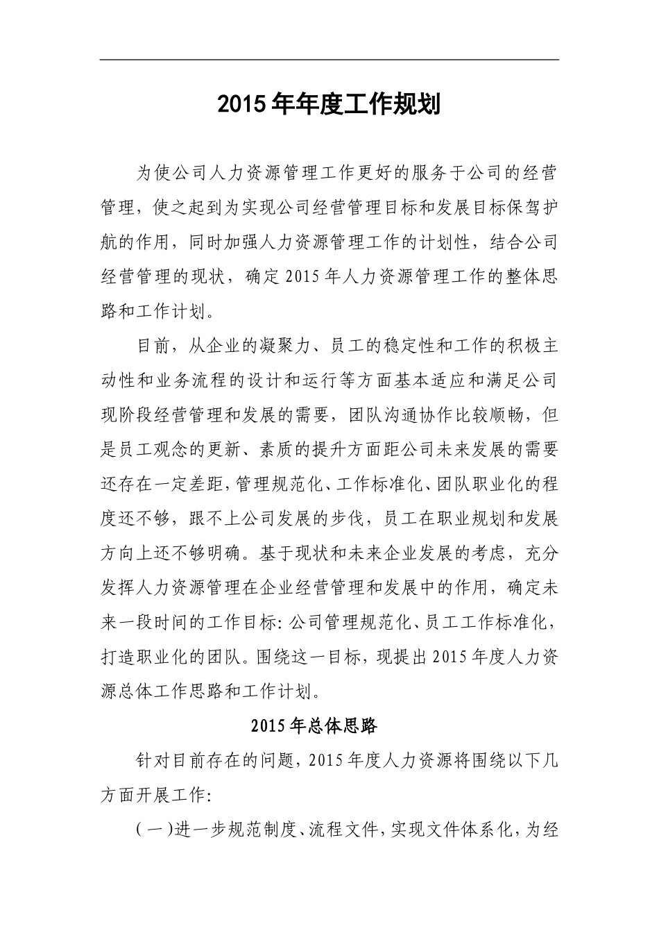 2015年年度工作规划_第1页