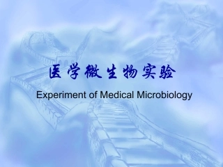 一细菌的检查法及真菌观察