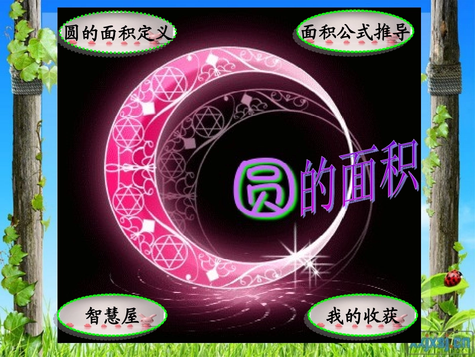 人教版《圆的面积》课件_第2页