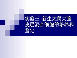 一哺乳动物细胞的培养冻存和融合