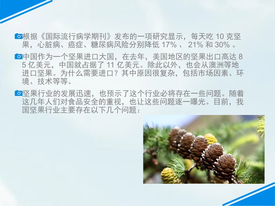 一枚松塔秉承纯天然健康理念_第2页