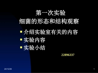 一、细菌的形态与结构观察