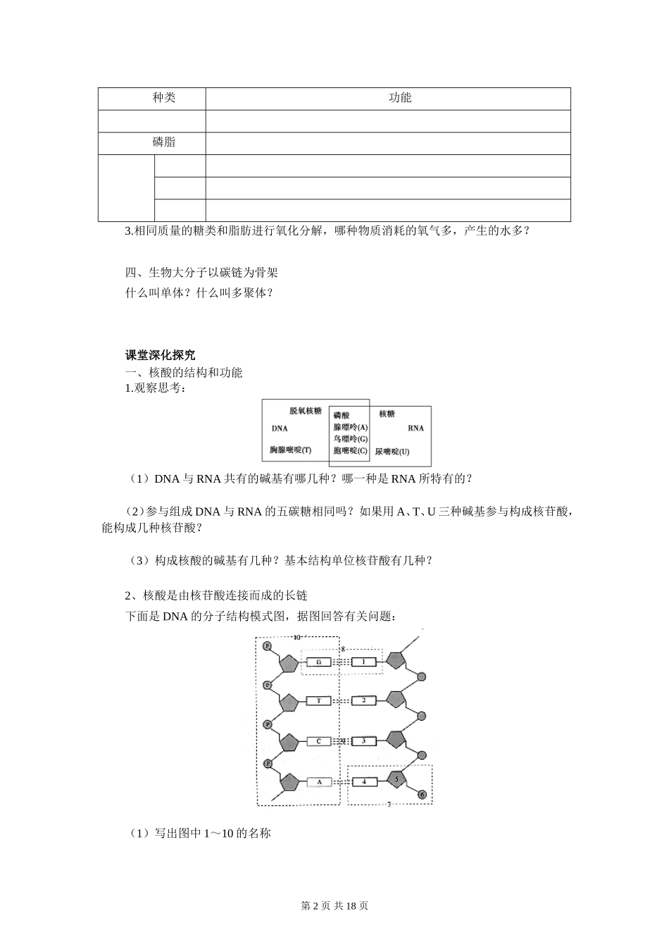 【赢在起点】2013一轮复习学案4-核酸、细胞中的糖类和脂质_第2页