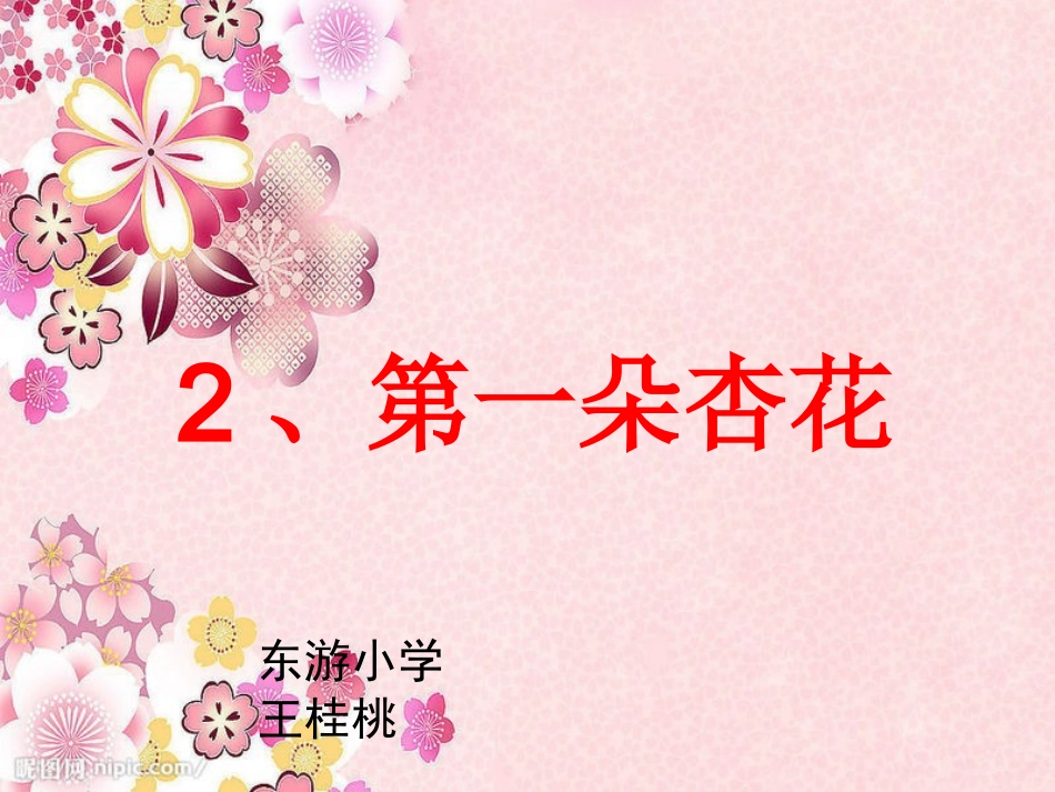 2、第一朵杏花课件_第1页