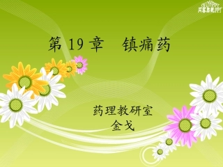 【若风制作】2014--19-中枢镇痛药解读