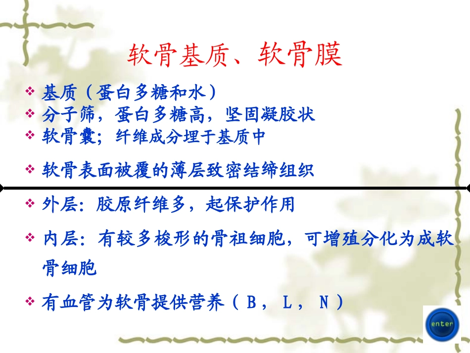 【组织学与胚胎学】软骨与骨_第3页
