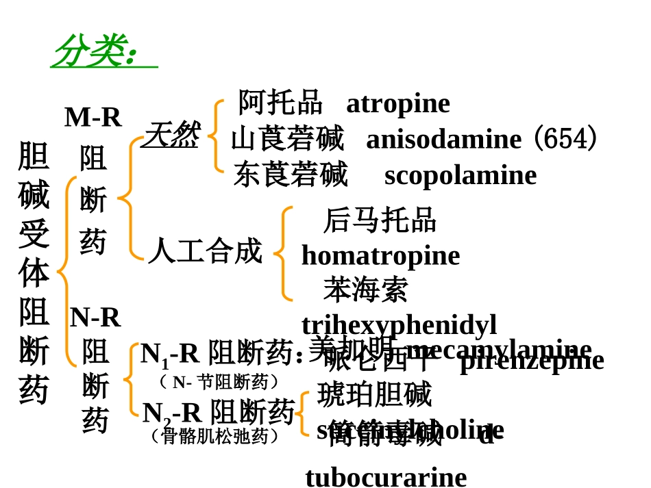 【若风制作】胆碱受体阻断药(五年本).解读_第2页