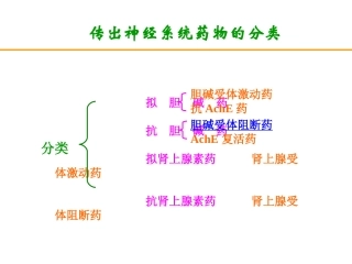 【若风制作】胆碱受体阻断药(五年本).解读