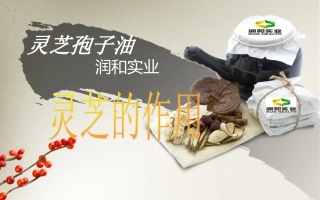 【润和实业】灵芝孢子油、蜂胶