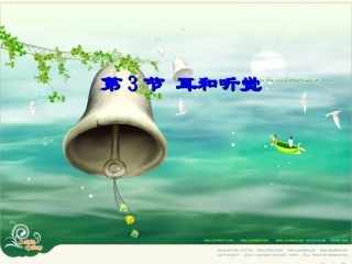 【新教材】2.3《耳和听觉》(正式上课用)