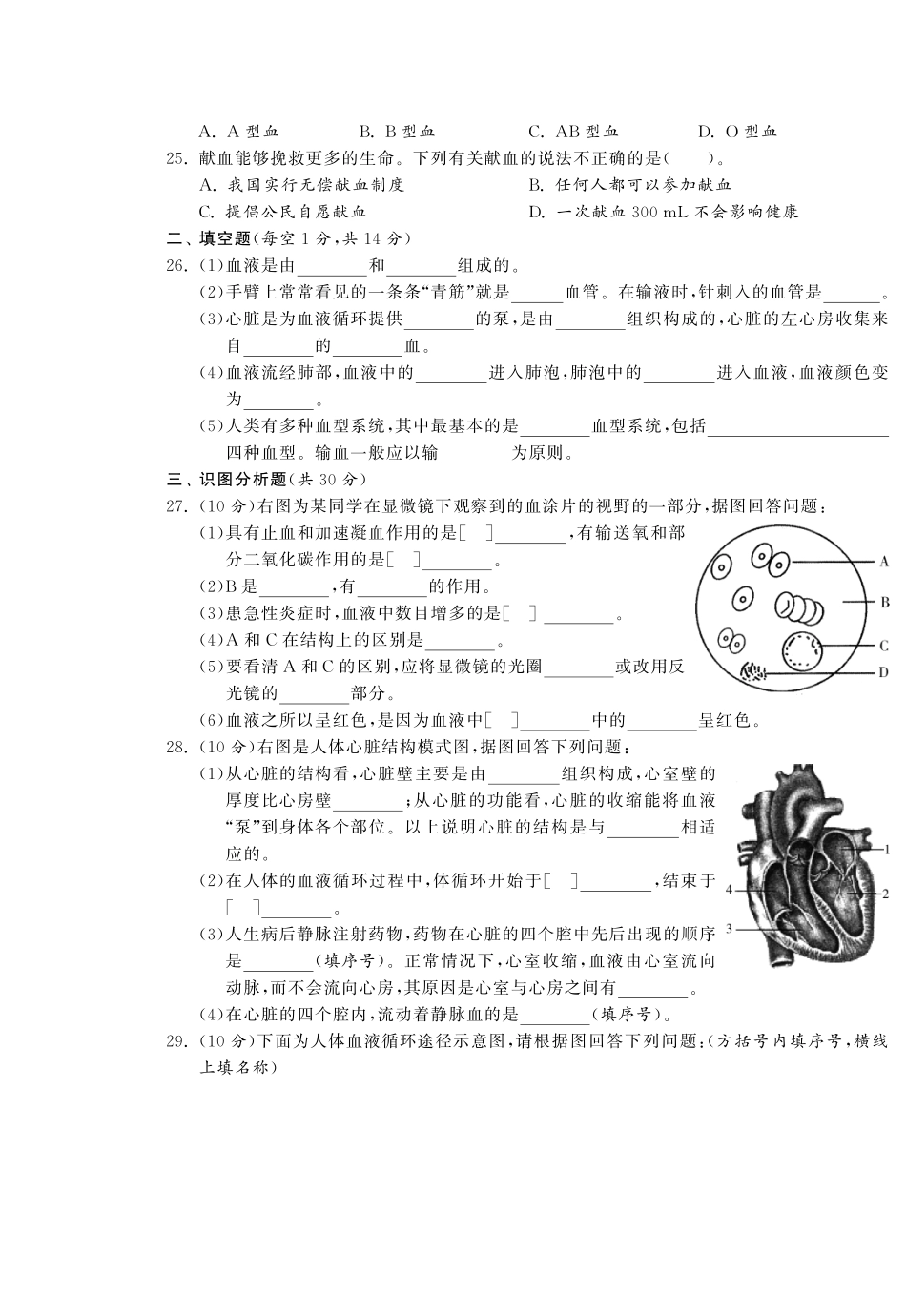 【单元突破】七年级生物下册 第四章 人体内物质的运输综合提优测评(A卷)_第3页