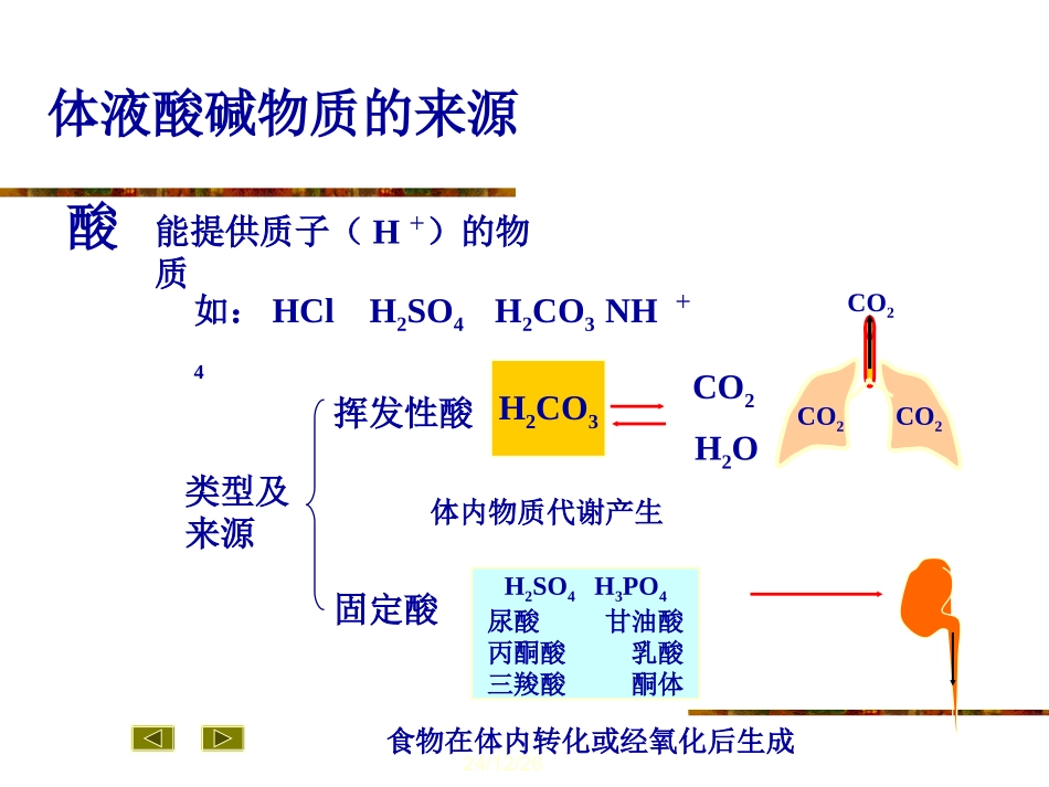 【医学超级全之病生】04-酸碱平衡和酸碱平衡紊乱_第3页
