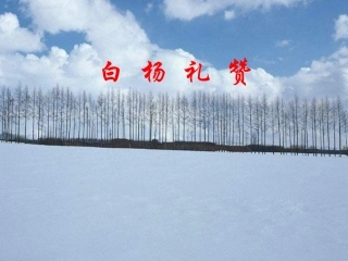 《白杨礼赞》