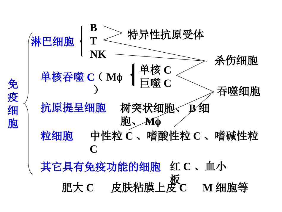 【免疫】2.T与B细胞_第2页