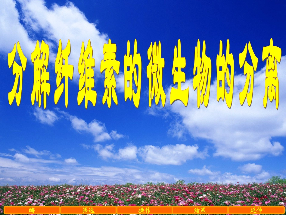 【专题二】2.3分解纤维素的微生物的分离_第1页