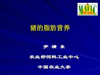【2019-2020年整理】猪脂肪营养