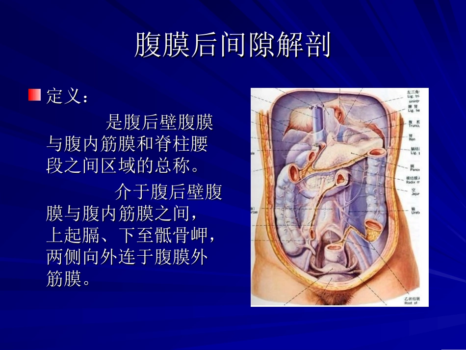 【201204】腹膜后间隙_第2页