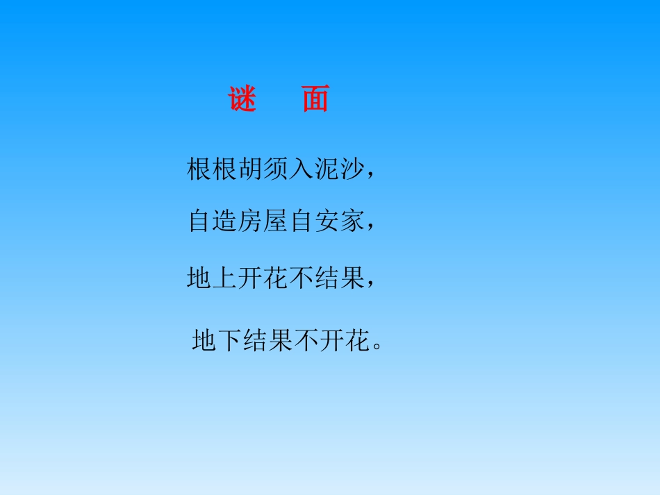 落花生ppt课件_第1页