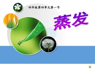 《蒸发》说课课件