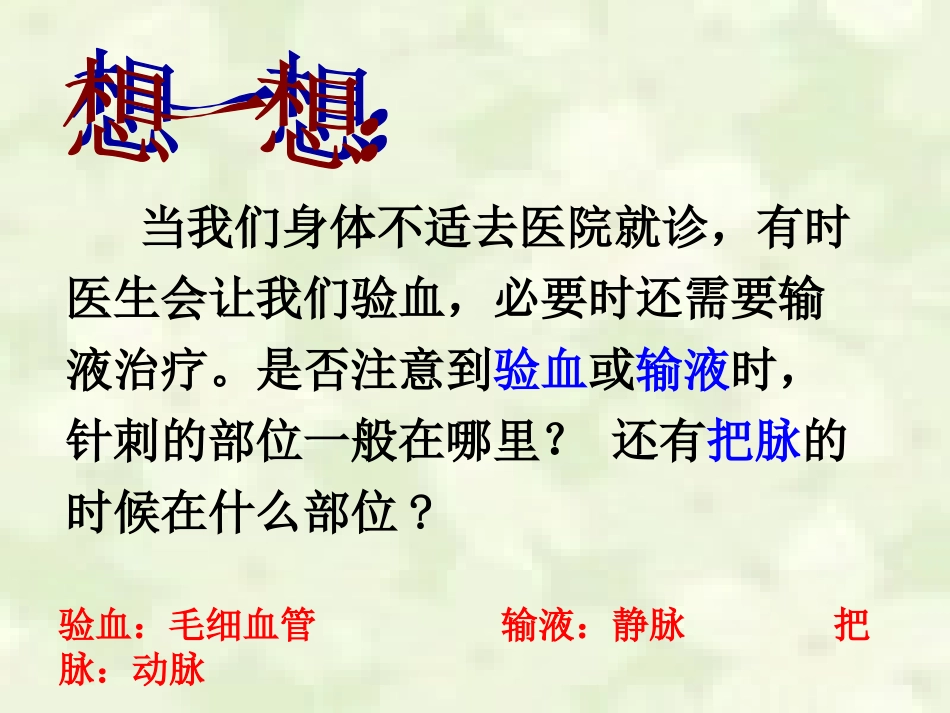 《血流的管道—血管》_第2页