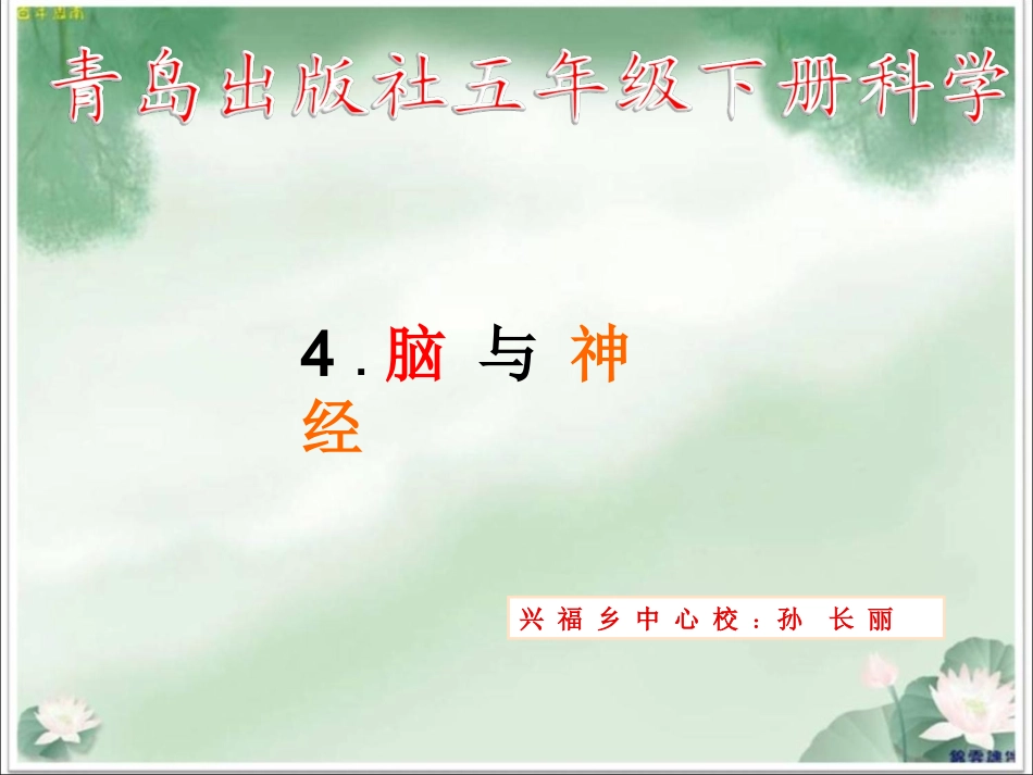 《脑与神经》公开课适用PPT剖析_第2页