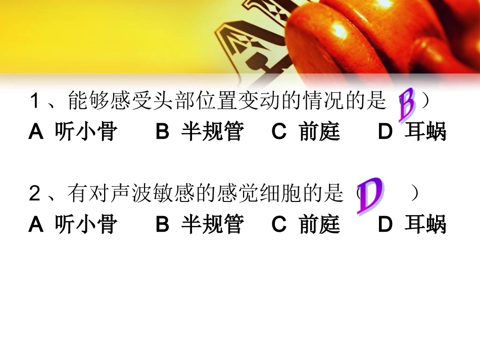 《耳与听觉》_第3页