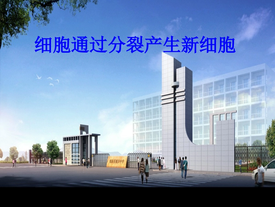 《细胞通过分裂产生新细胞》_第1页