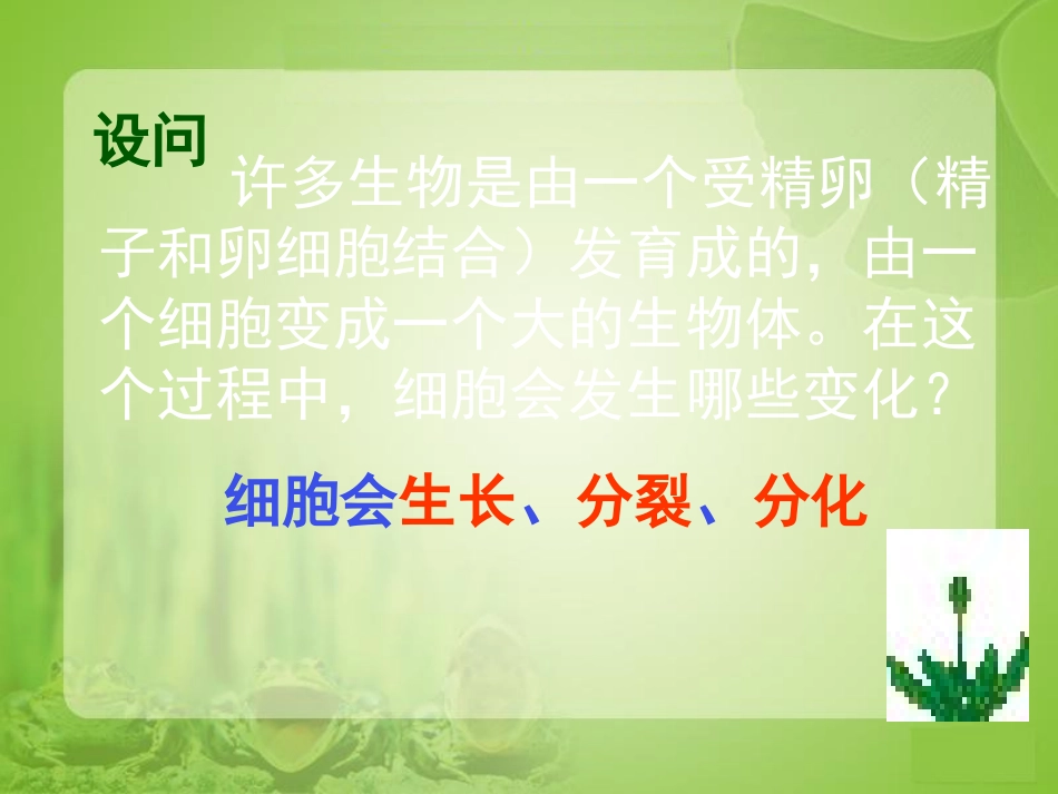《细胞通过分裂产生新细胞》_第3页