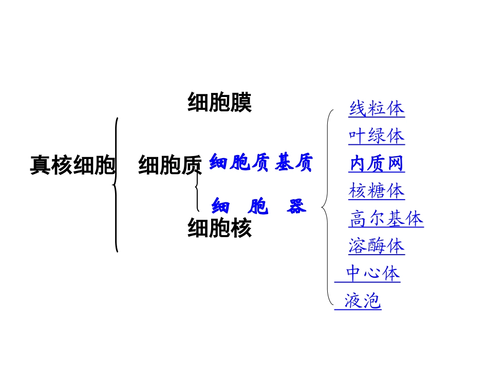 《细胞器--系统内的分工合作》(人教版必修1)_第2页