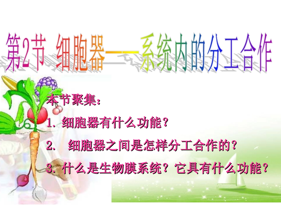 《细胞器--系统内的分工合作》(人教版必修1)_第3页