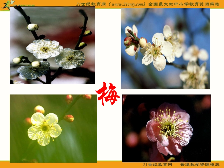 《病梅馆记》ppt_第2页