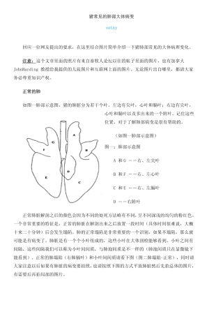 《畜牧人》杂志推荐经典文章：猪常见的肺部大体病变
