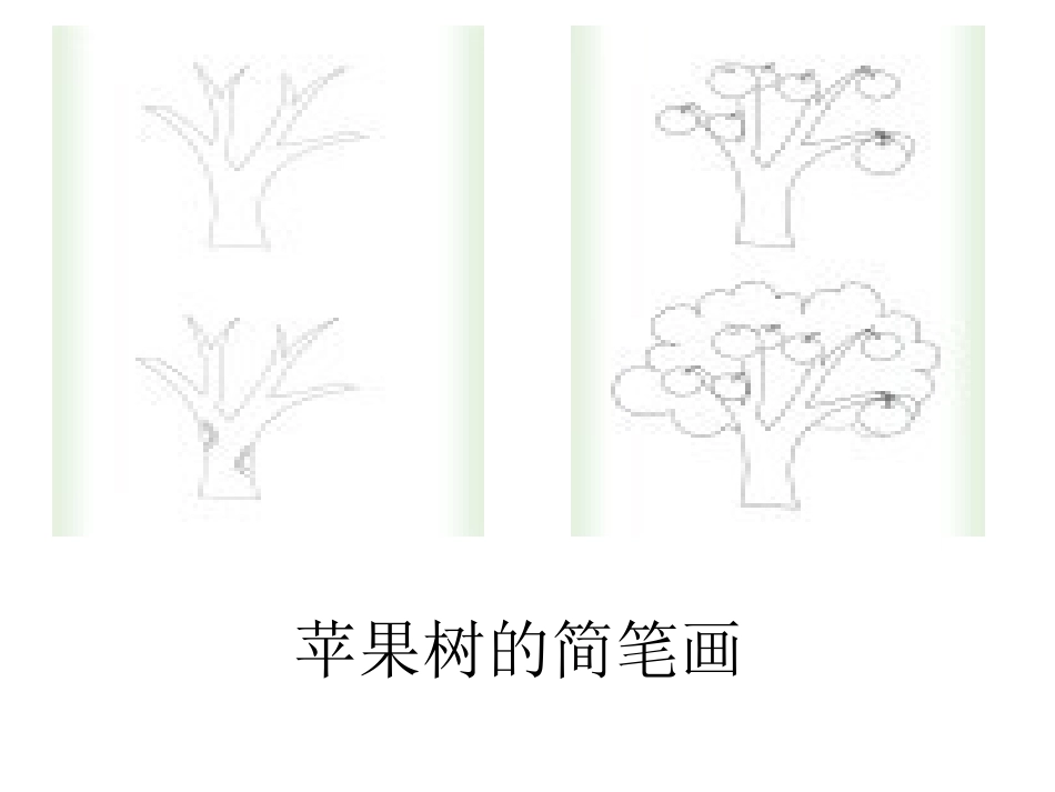 1.2-校园的树木_第2页