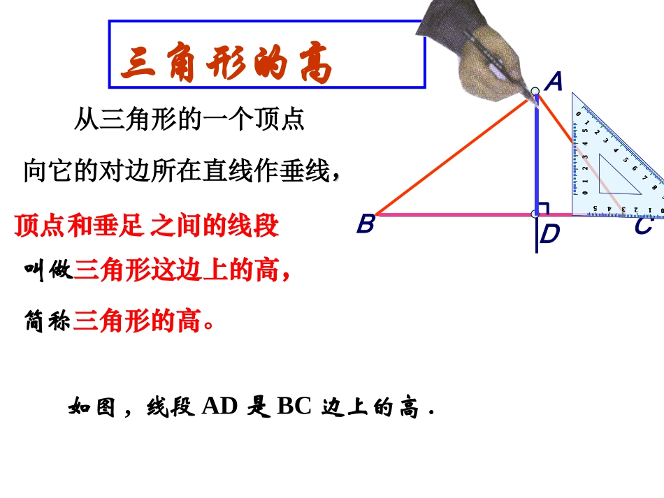 11.1.2-三角形的高、中线与角平分线.1.2三角形的高、中线与角平分线_第3页